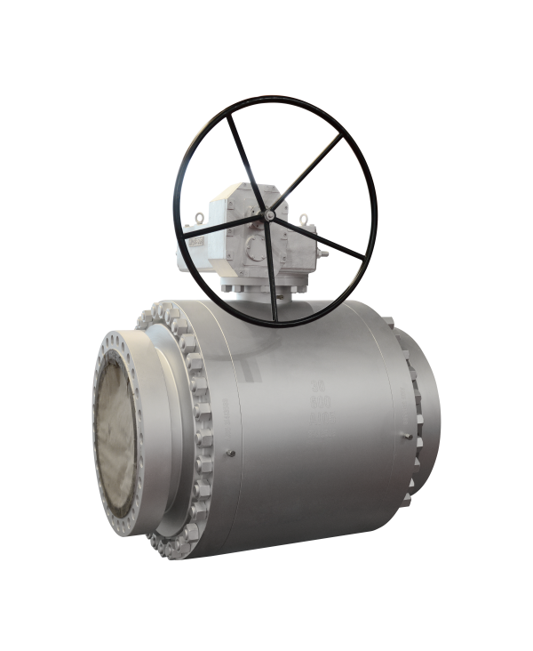 Forged Steel Fixed Ball Valve